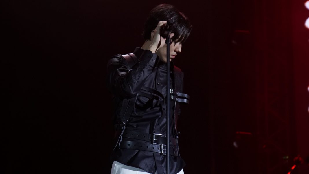 Dimash's concert in Kazan