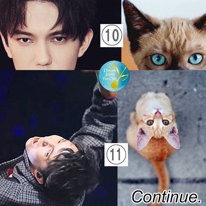 Dimash and Cats: how the Japanese cheer up during the quarantine
