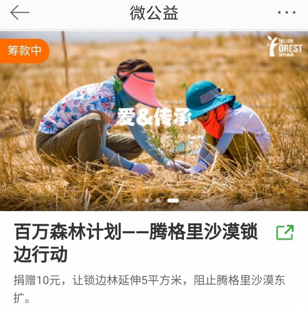 Chinese Dears planted 2780 trees for Dimash’s birthday