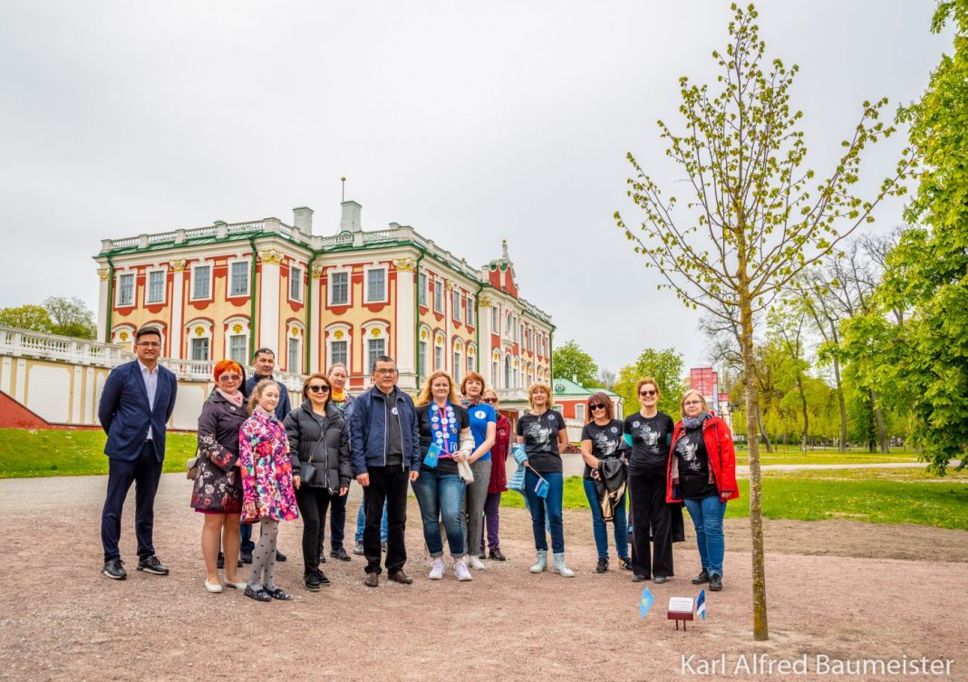 A tree named Dimash in Estonia