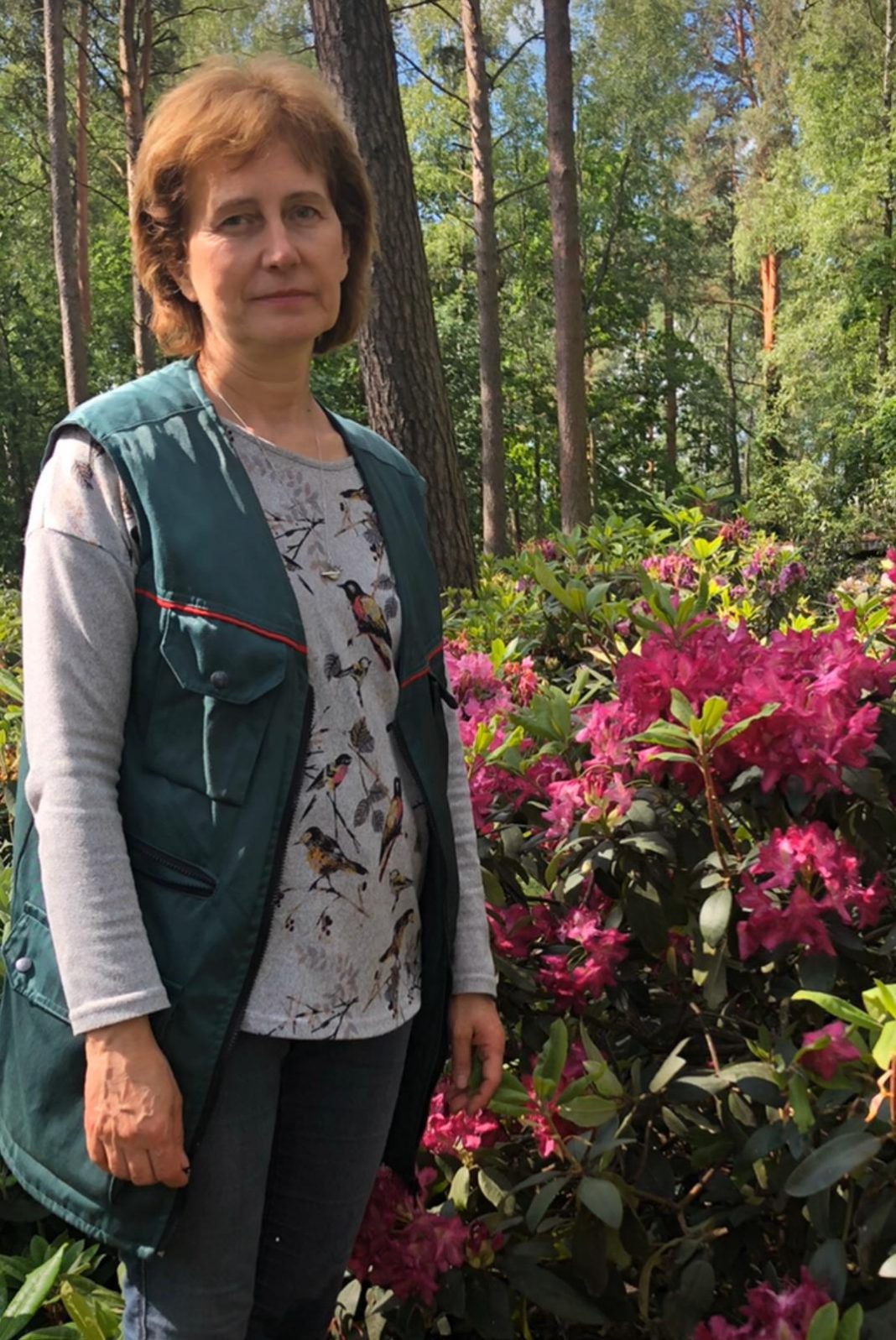 "MIUANIZ" and "Dimash Kudaibergen": new varieties of rhododendron in honor of Dimash and his grandmother appeared in Latvia