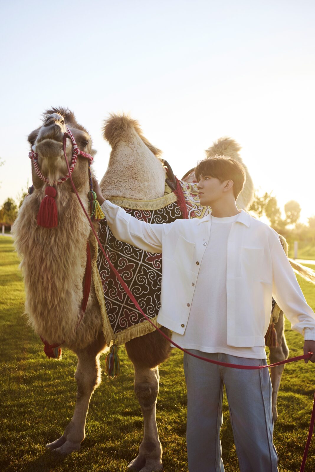 Voice Beyond Horizon – Turkestan (2026)