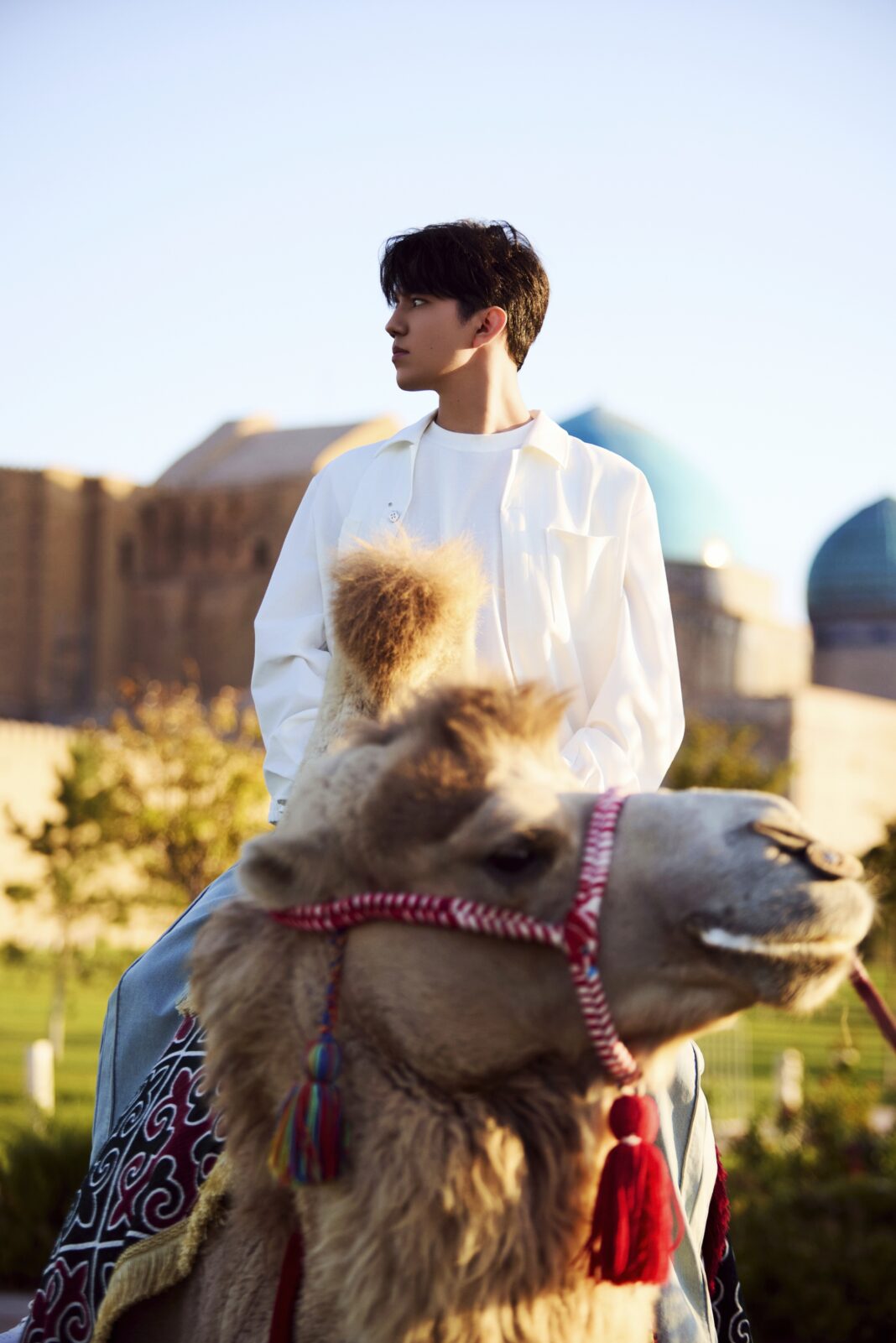 Voice Beyond Horizon – Turkestan (2026)