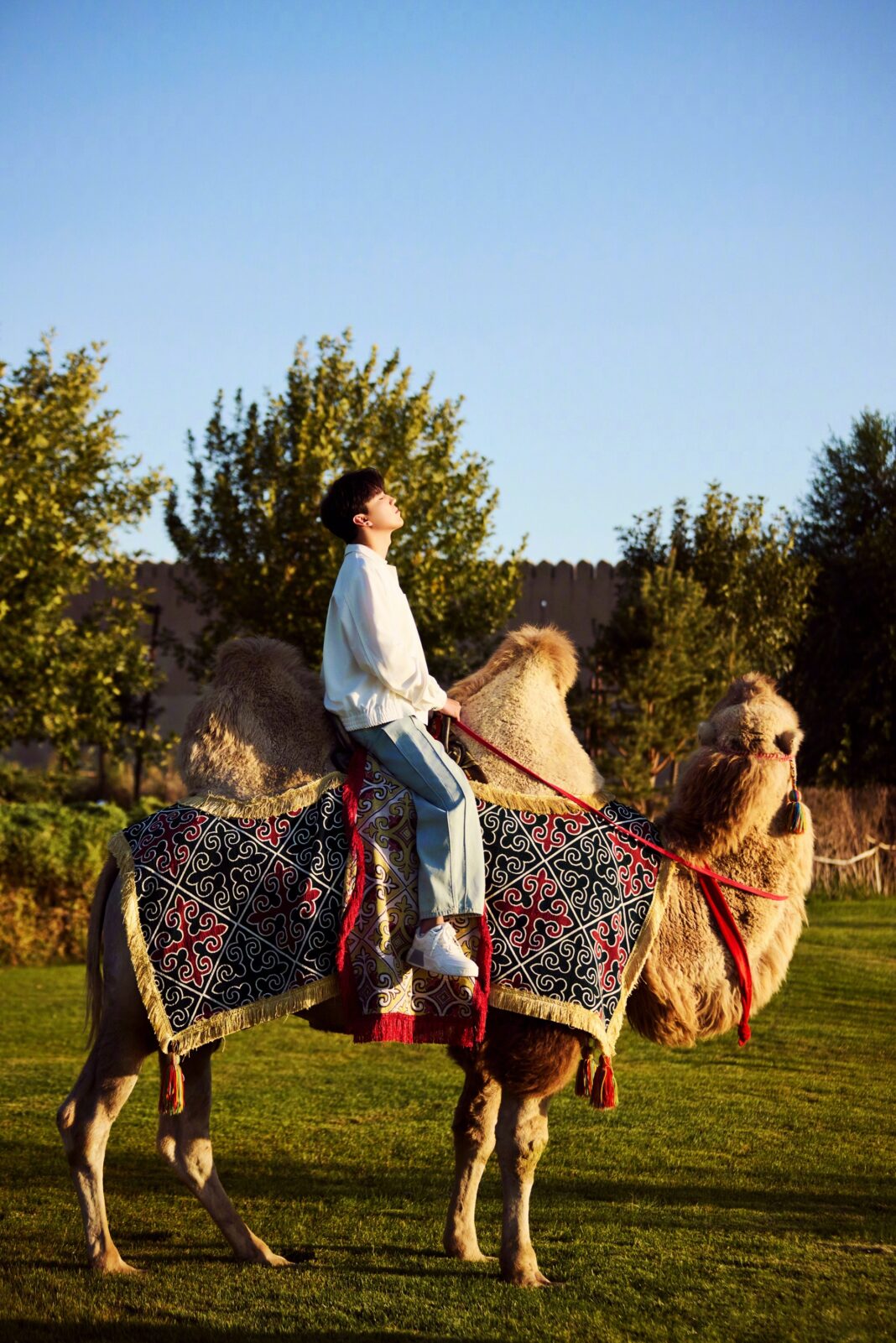 Voice Beyond Horizon – Turkestan (2026)