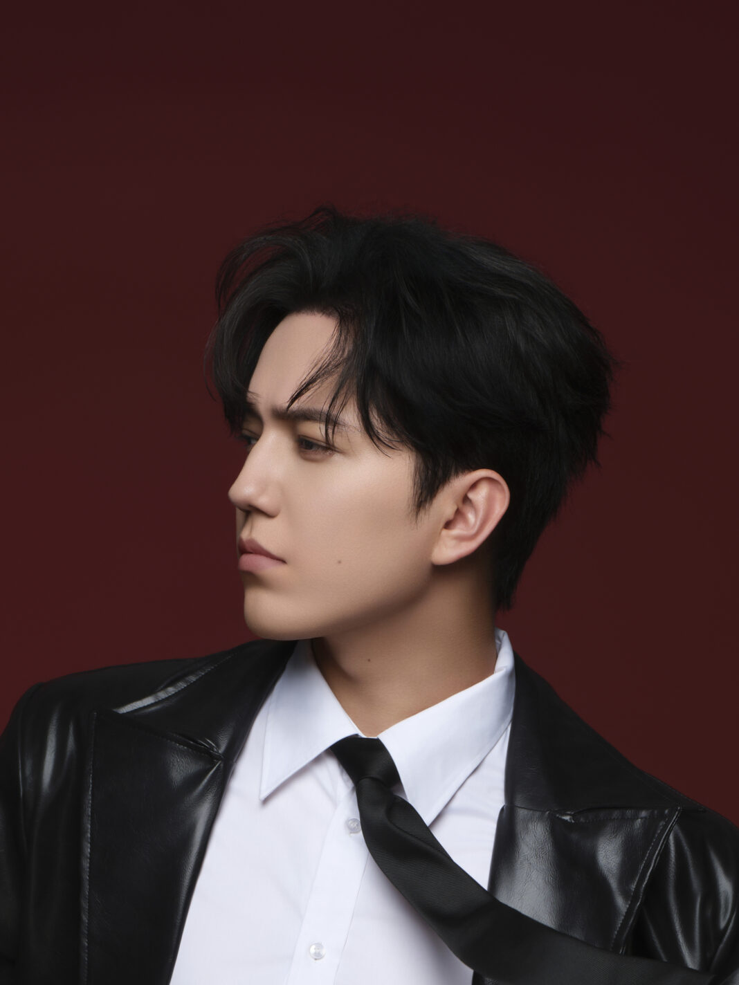 Dimash Qudaibergen: DIMENSIONS - Tour | Promo Photos